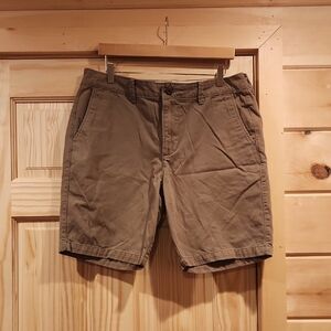 hollister|classic fit shorts|34
